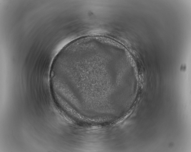 X0000091450196200709061742