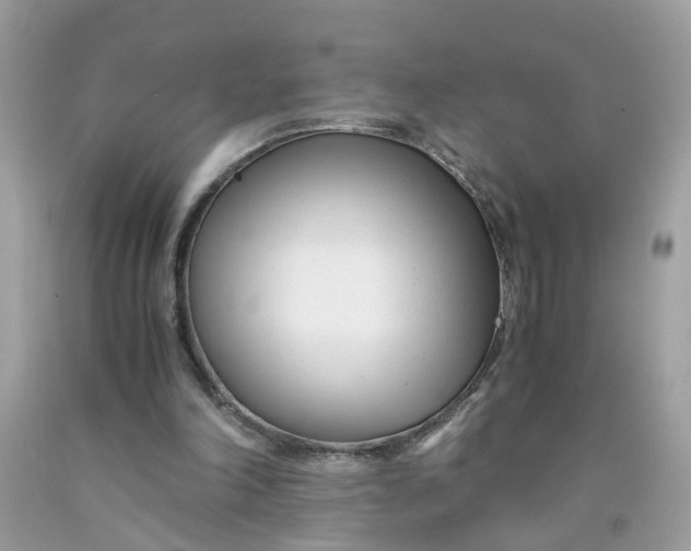 X0000091450198200709061742