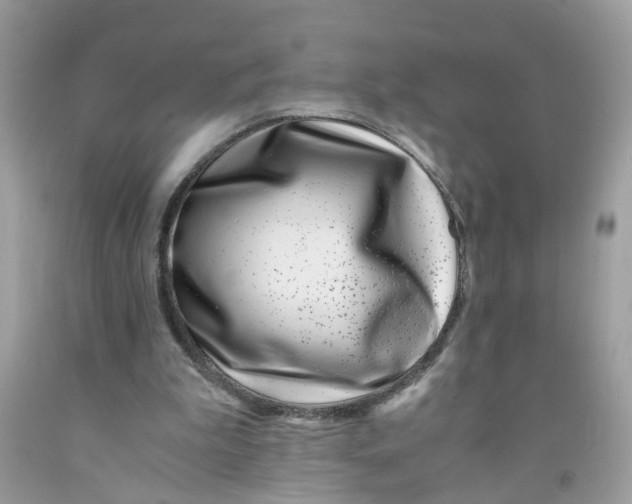 X0000091450199200709061742