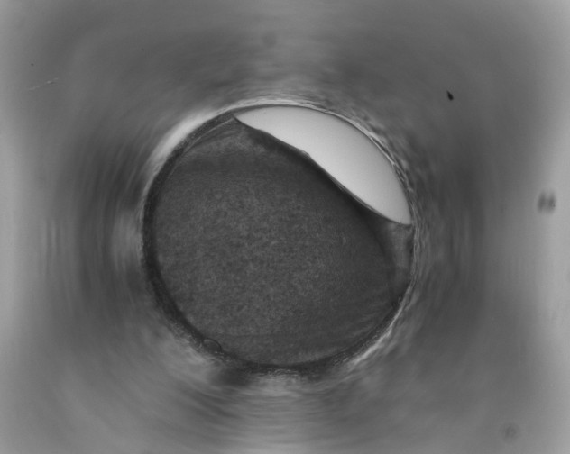 X0000091450200200709061742