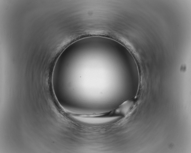 X0000091450201200709061742