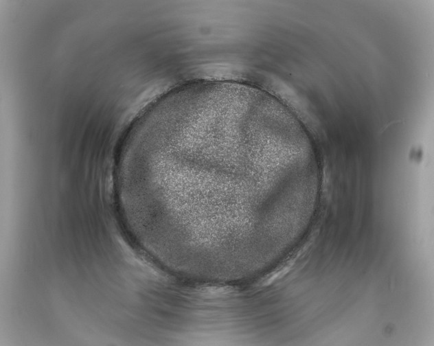 X0000091450202200709061742