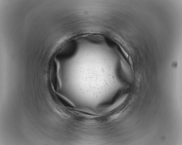 X0000091450203200709061742