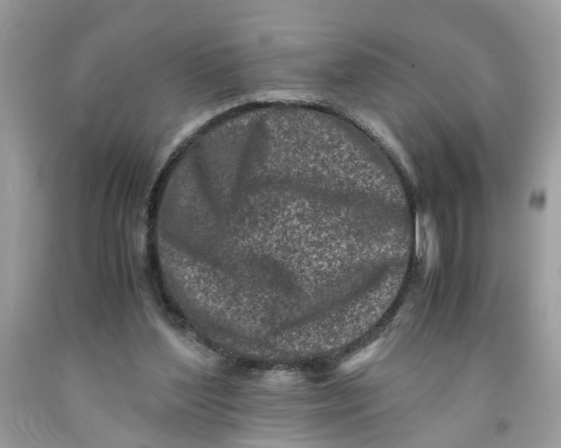 X0000091450204200709061742