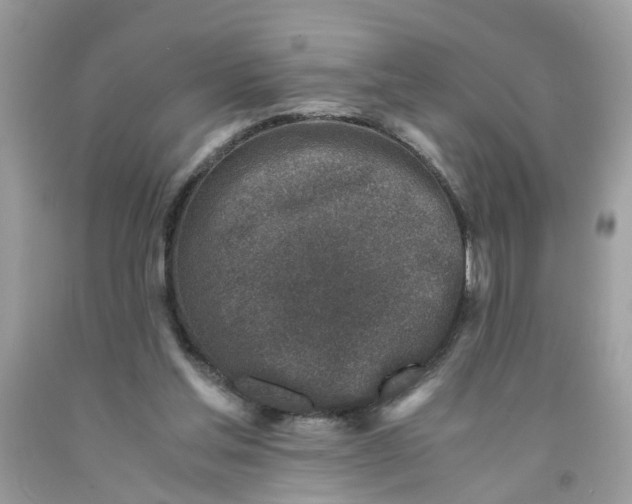 X0000091450205200709061742