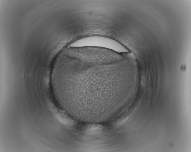 X0000091450206200709061742