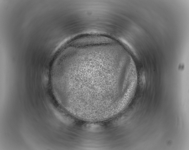 X0000091450208200709061742