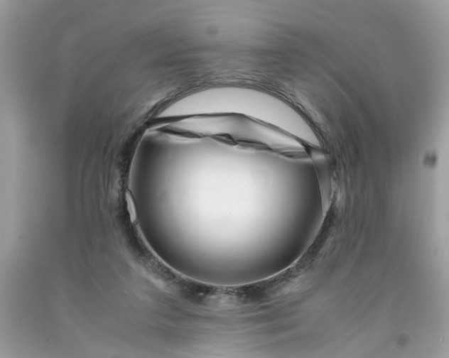 X0000091450211200709061742