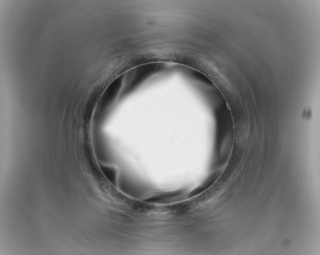 X0000091450213200709061742