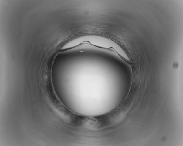 X0000091450215200709061742