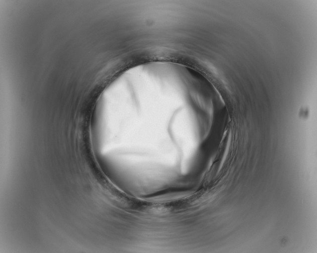 X0000091450217200709061742