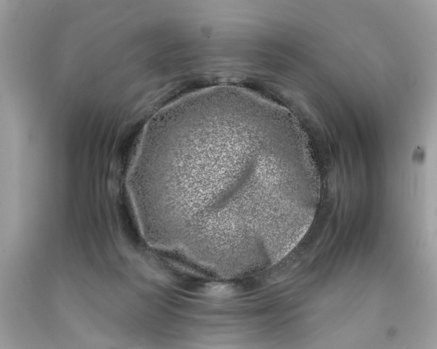 X0000091450218200709061742