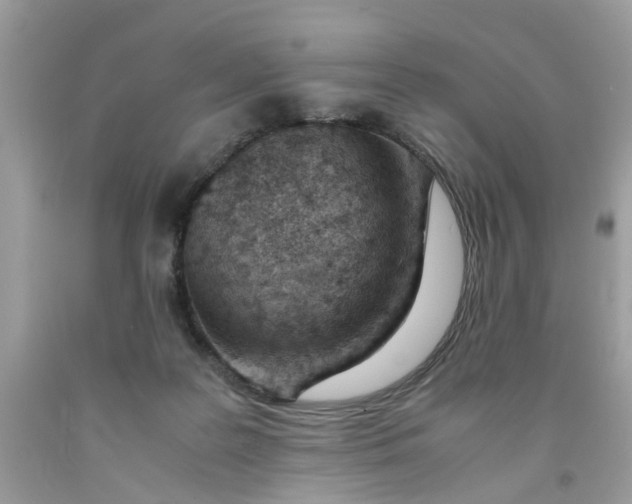 X0000091450219200709061742