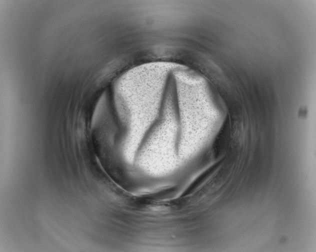 X0000091450220200709061742