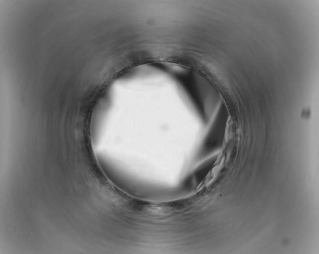 X0000091450221200709061742