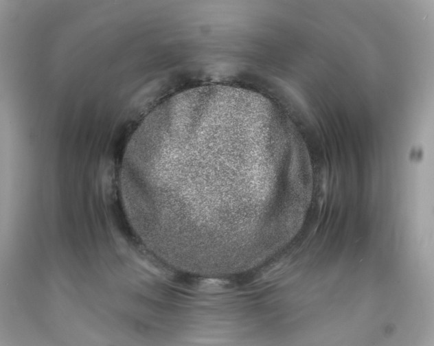 X0000091450222200709061742