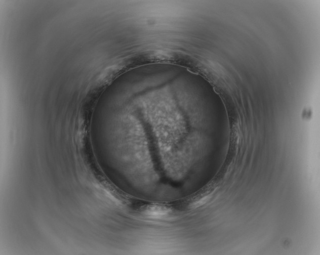 X0000091450223200709061742