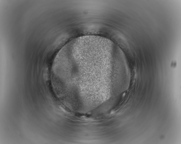 X0000091450224200709061742