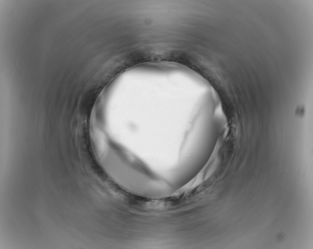 X0000091450225200709061742