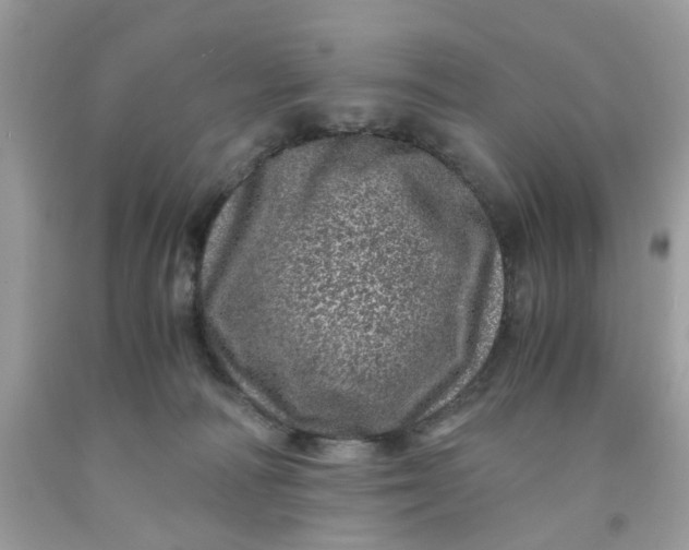 X0000091450226200709061742