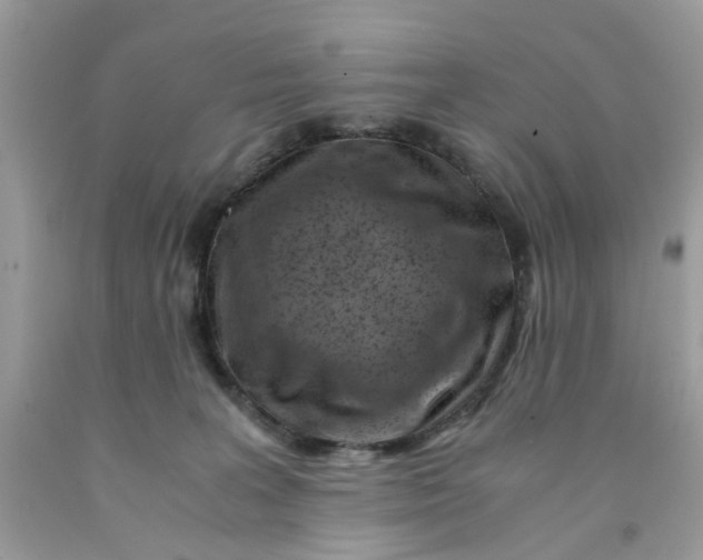 X0000091450227200709061742