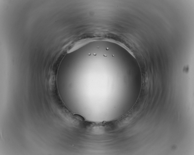 X0000091450228200709061742