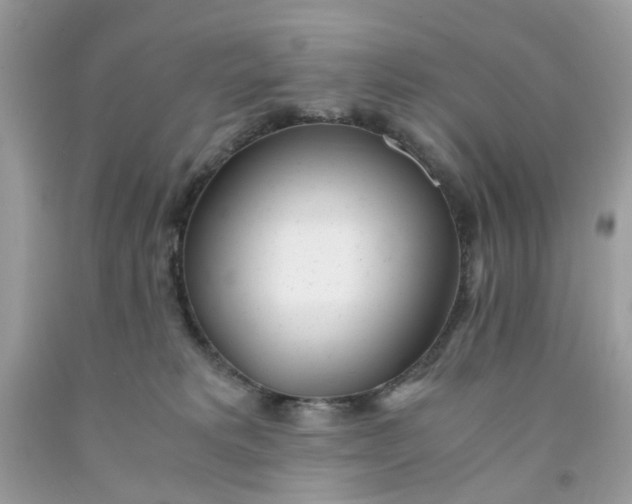 X0000091450229200709061742