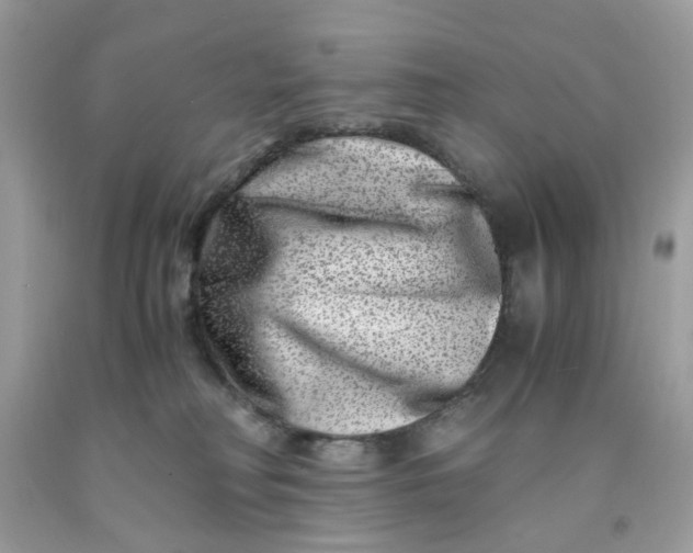 X0000091450230200709061742