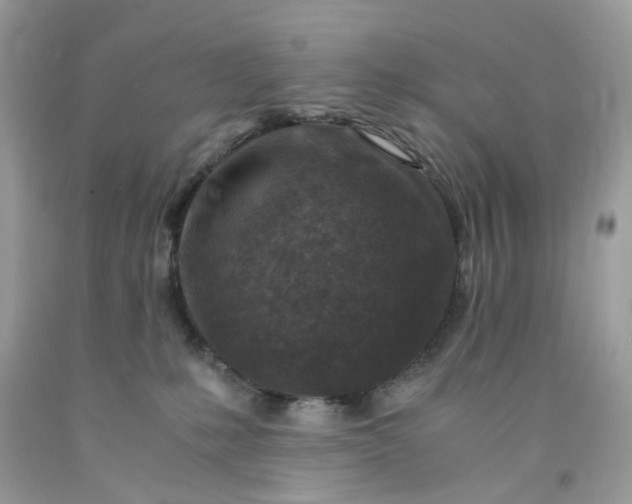 X0000091450231200709061742