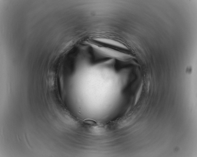 X0000091450232200709061742