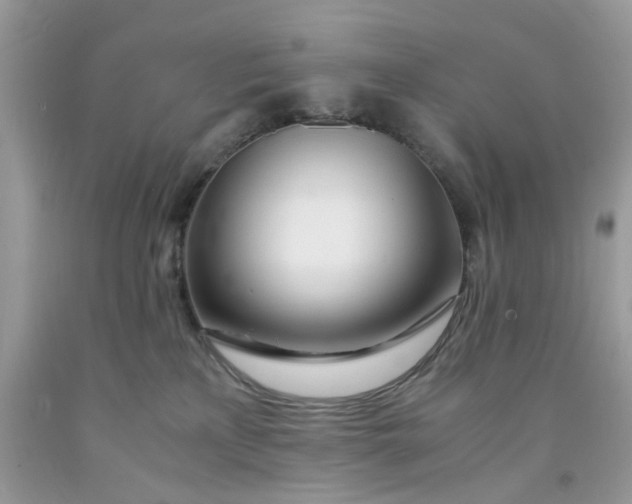 X0000091450233200709061742