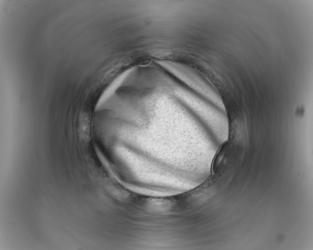 X0000091450234200709061742