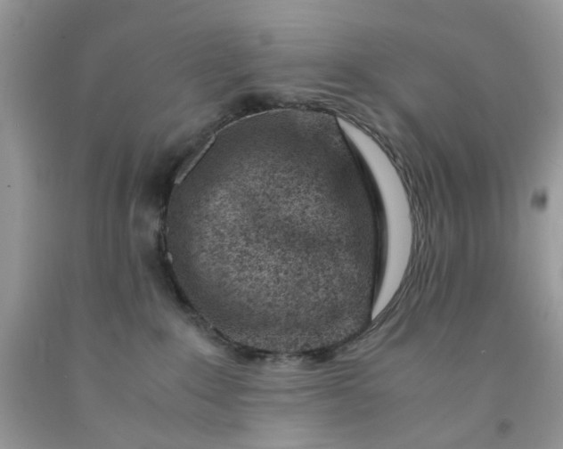 X0000091450235200709061742