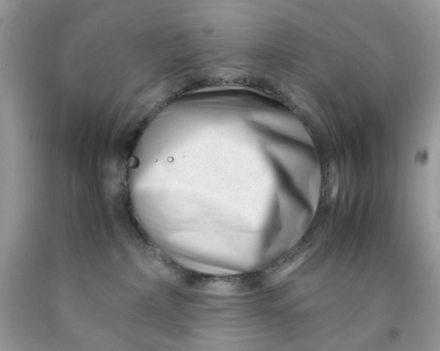 X0000091450236200709061742