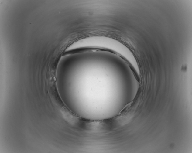 X0000091450237200709061742