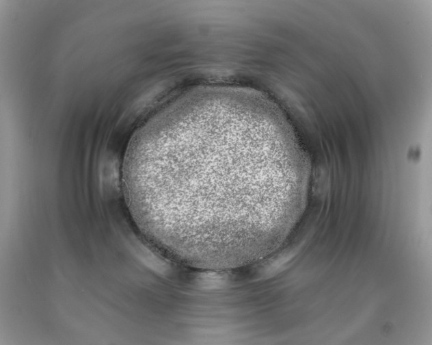 X0000091450238200709061742