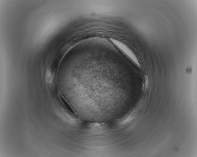 X0000091450239200709061741