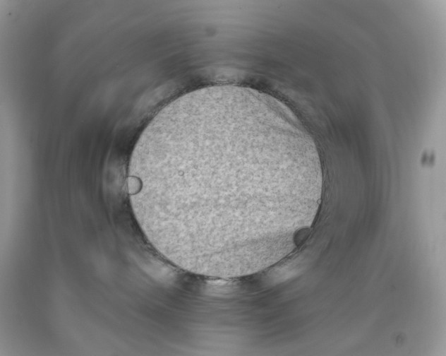 X0000091450240200709061741