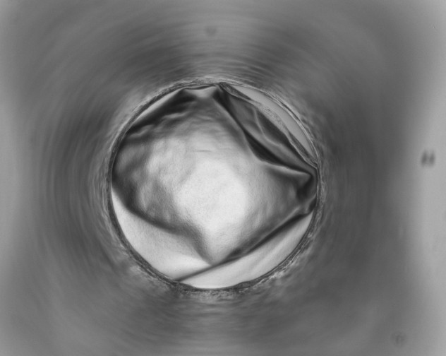 X0000091450241200709061741