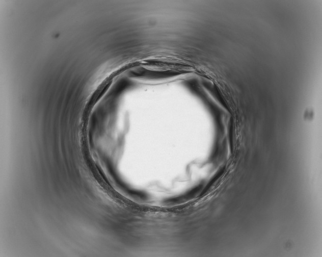 X0000091450242200709061741