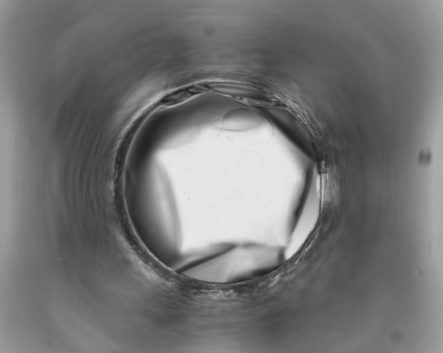 X0000091450243200709061741