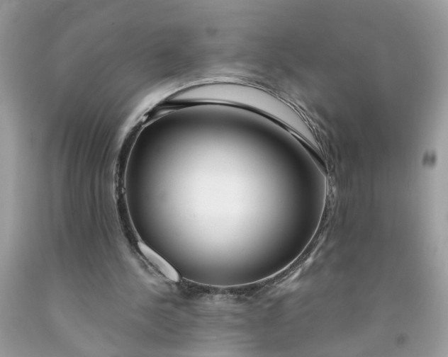 X0000091450244200709061741