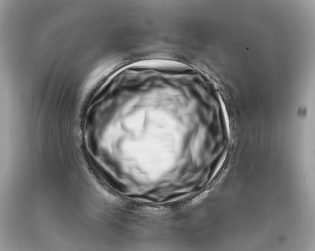 X0000091450245200709061741