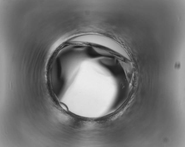 X0000091450246200709061741