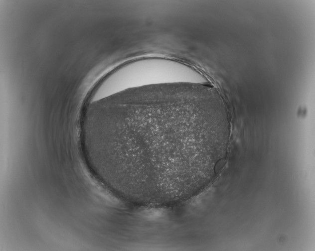 X0000091450247200709061741