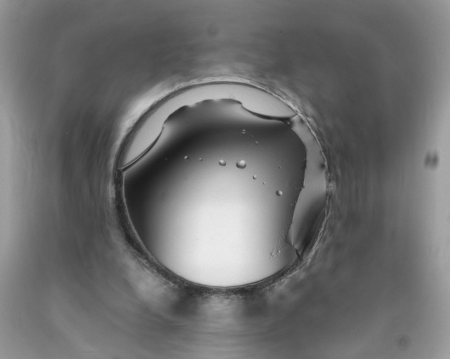 X0000091450248200709061741