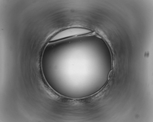 X0000091450249200709061741