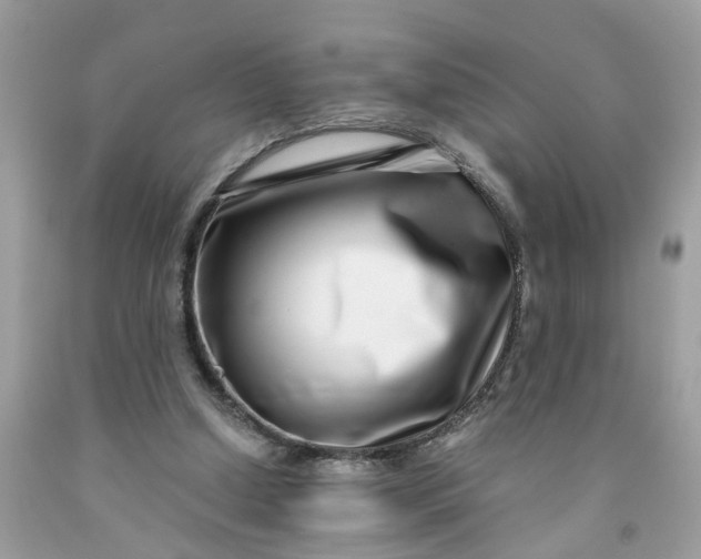 X0000091450250200709061741