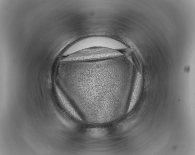 X0000091450251200709061741