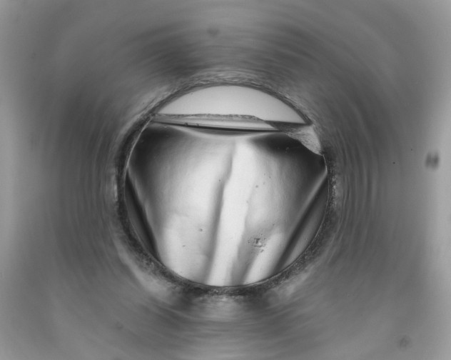 X0000091450254200709061741